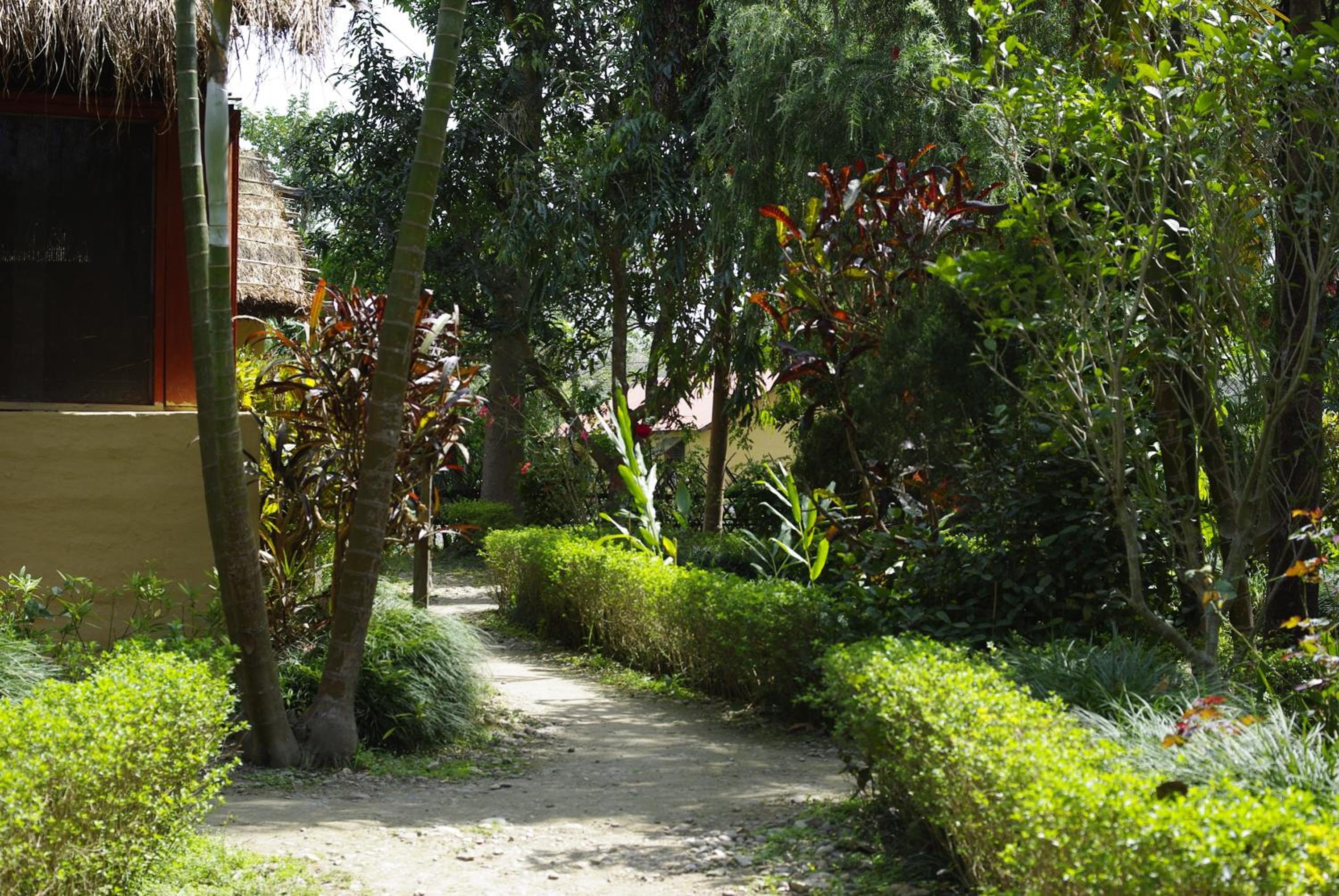 Forest Hideaway Resort Pvt Ltd