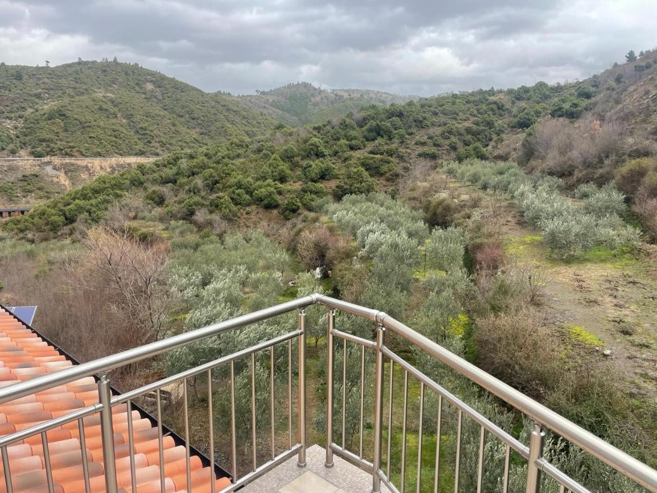 Qyteza Guest House & Camping