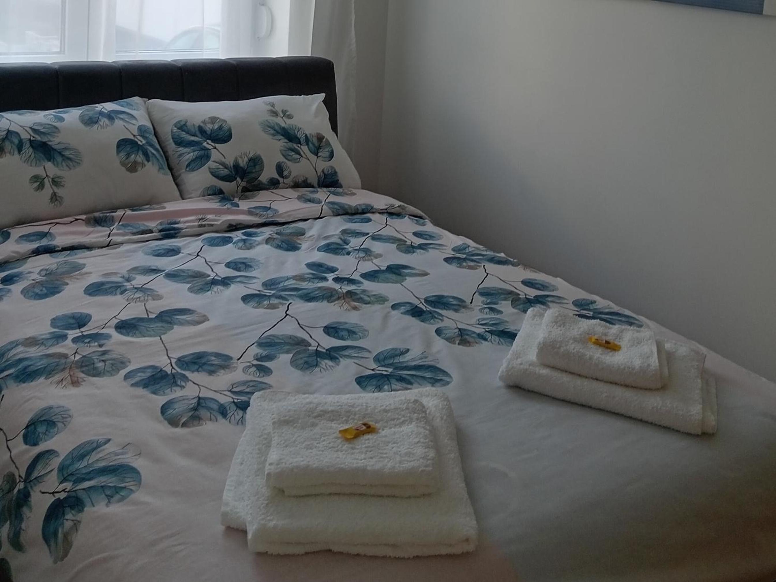 Tera apartment Zemun