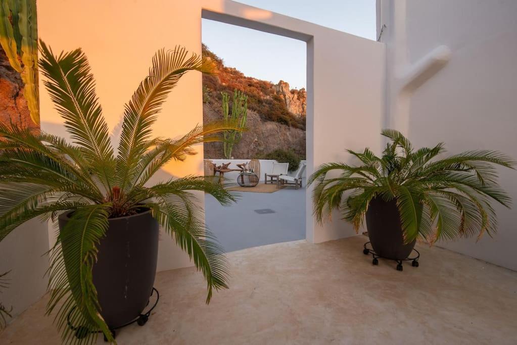 C actus Villa and Apartments view 3