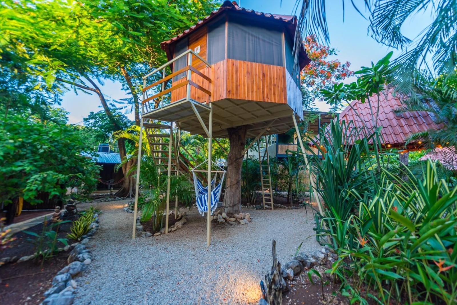 Casa Tropical Playa Grande