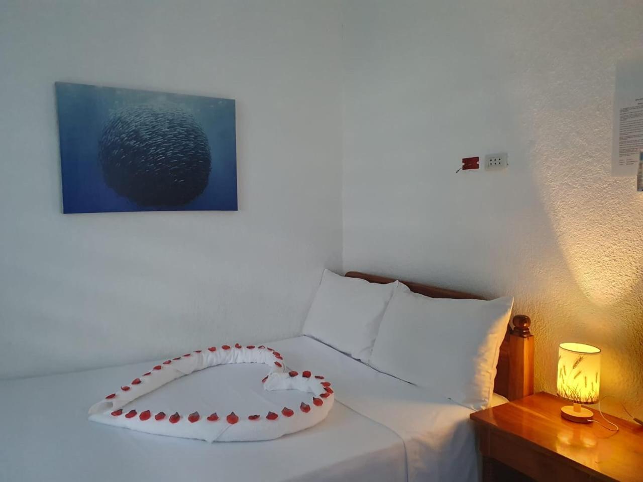Jah’s Anemone Dive Guesthouse view 3