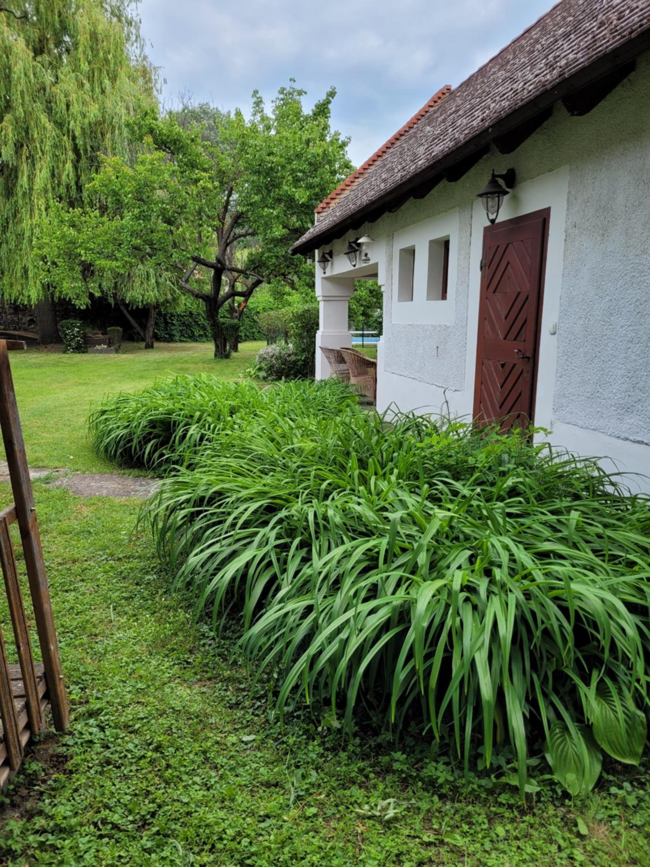 Photo 28