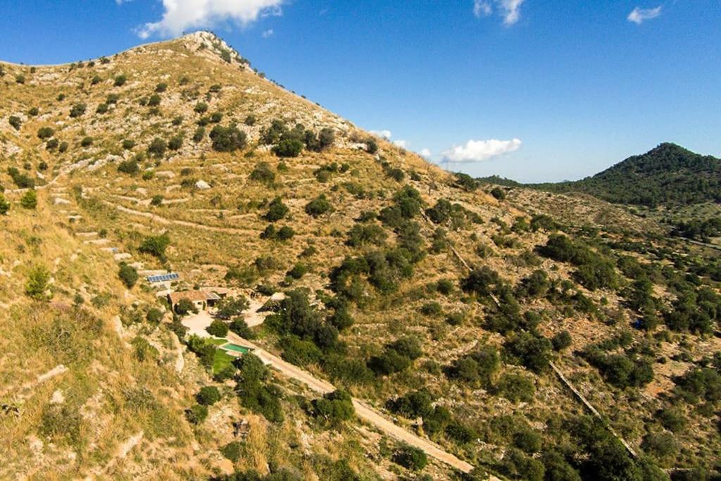 Finca Joan