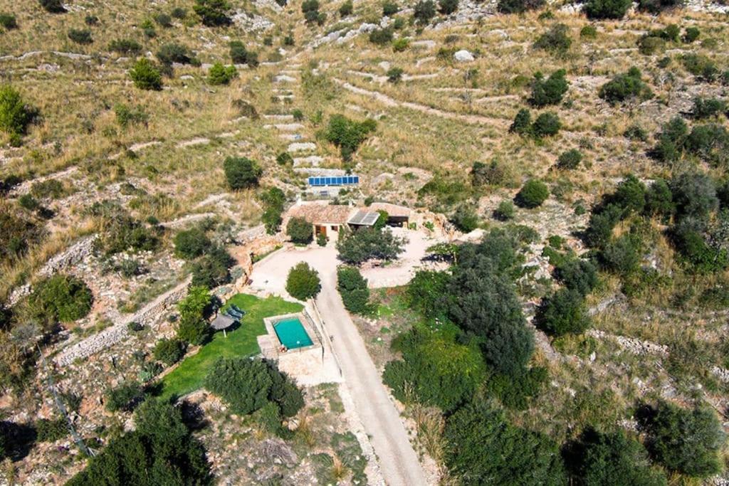 Finca Joan
