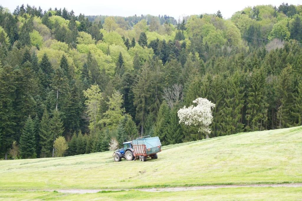Bushof - Leben auf dem Land