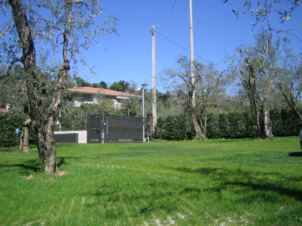 Photo 48