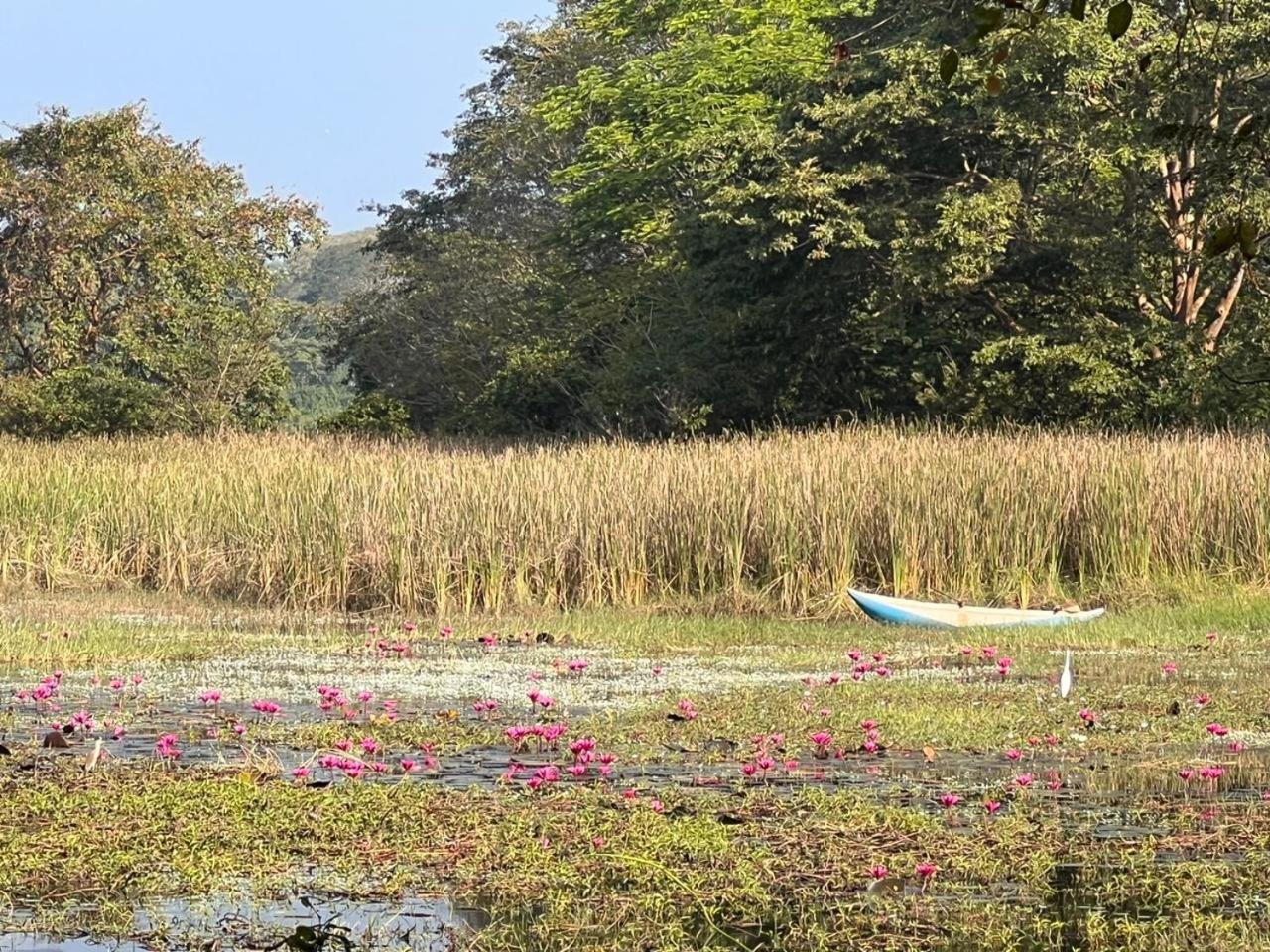 Magalle Wewa Villa- A yoga retreat view 5
