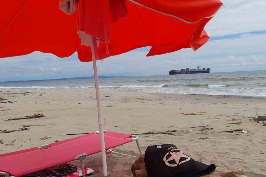 Departamento Margarita Beach House