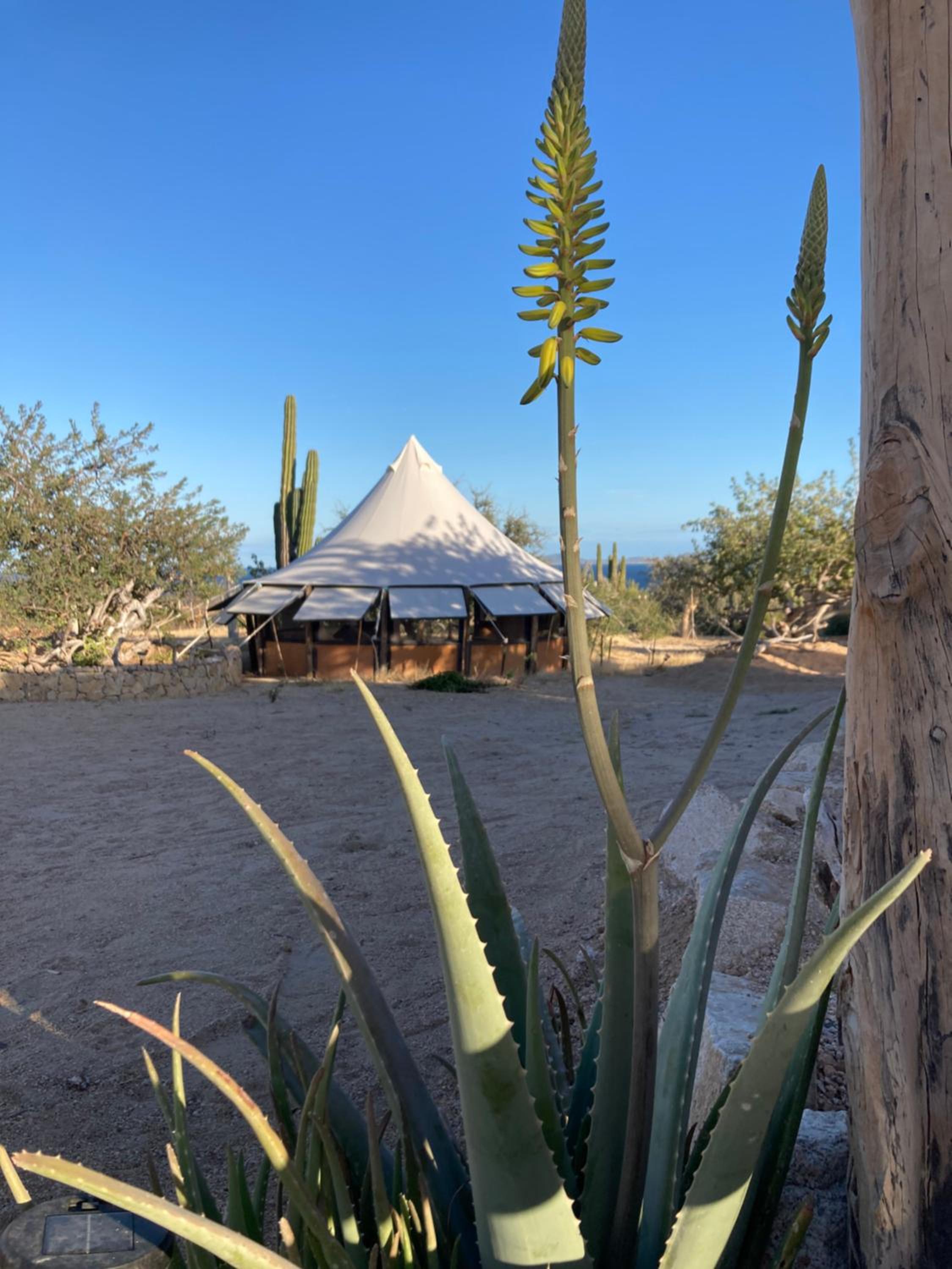 BCS BuenaOnda sea view bell tent