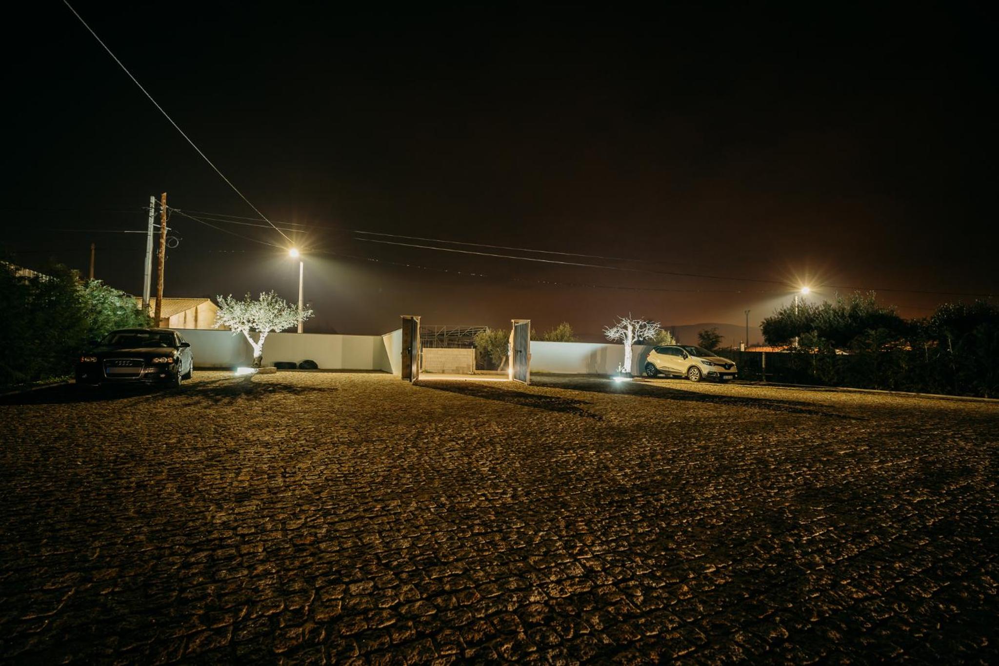 Photo 24
