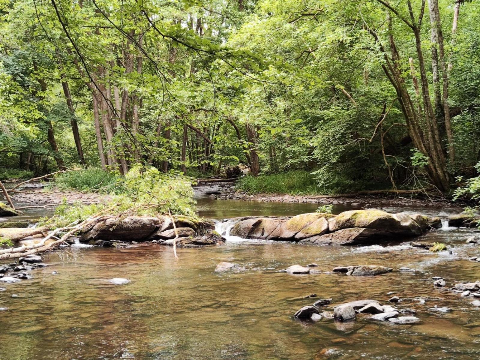 La mini maison du Lama