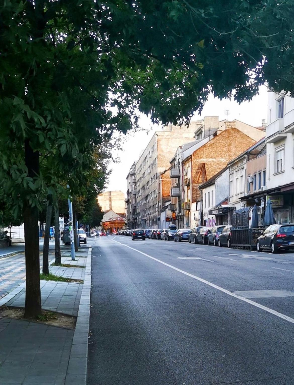 Photo 42
