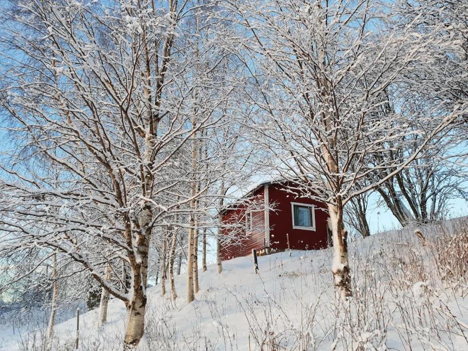Romantic Old Country Cottage with sauna for Couples