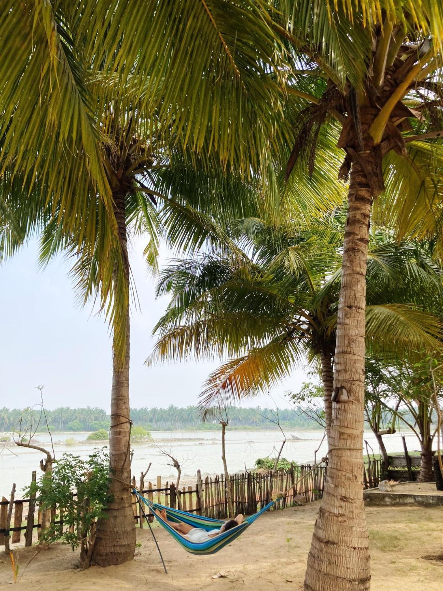 Photo 41