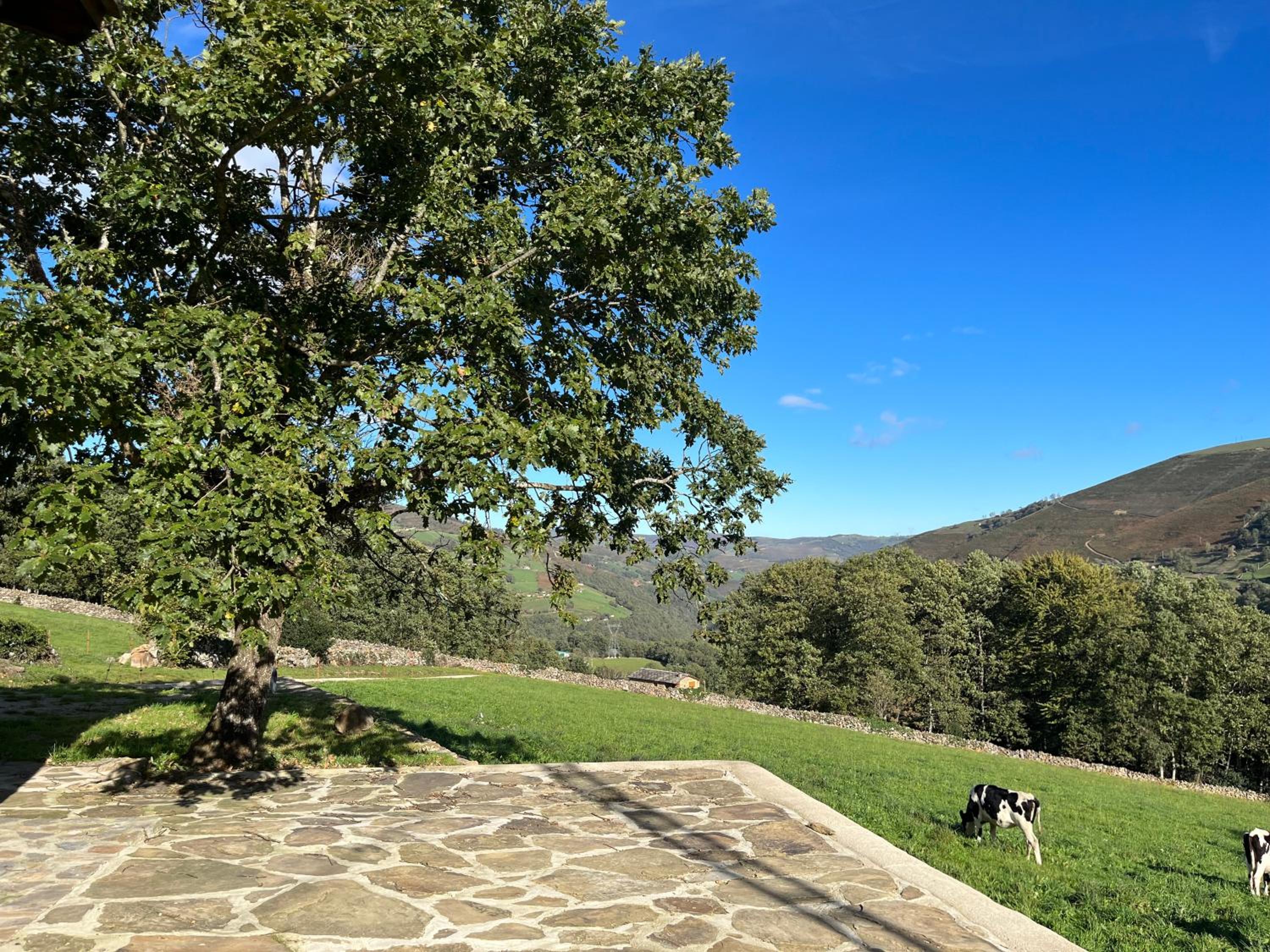 Cabaña Pasiega El Ojal