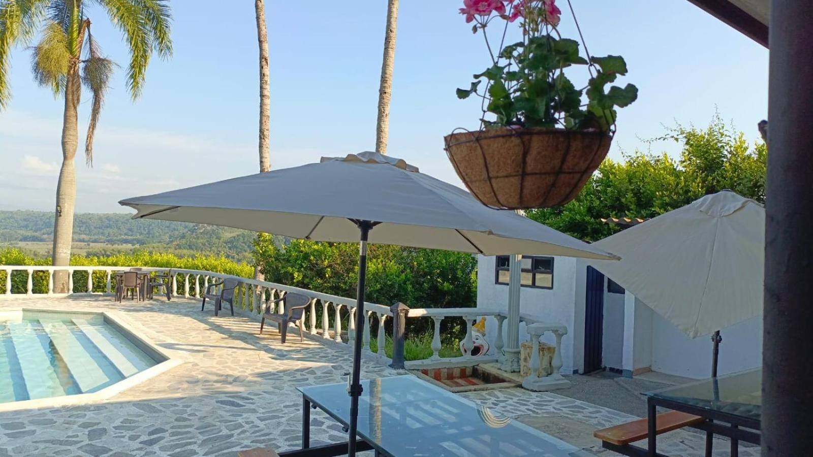 Finca Maratón Alto