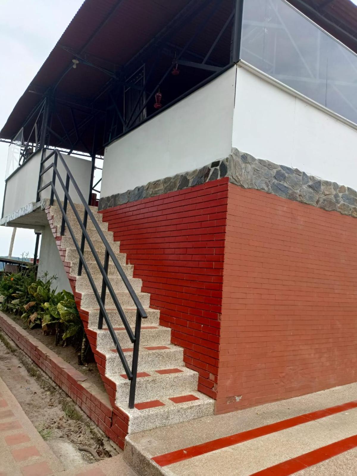 Finca Maratón Alto