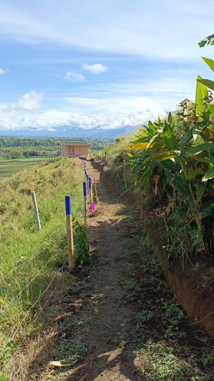 Finca Maratón Alto