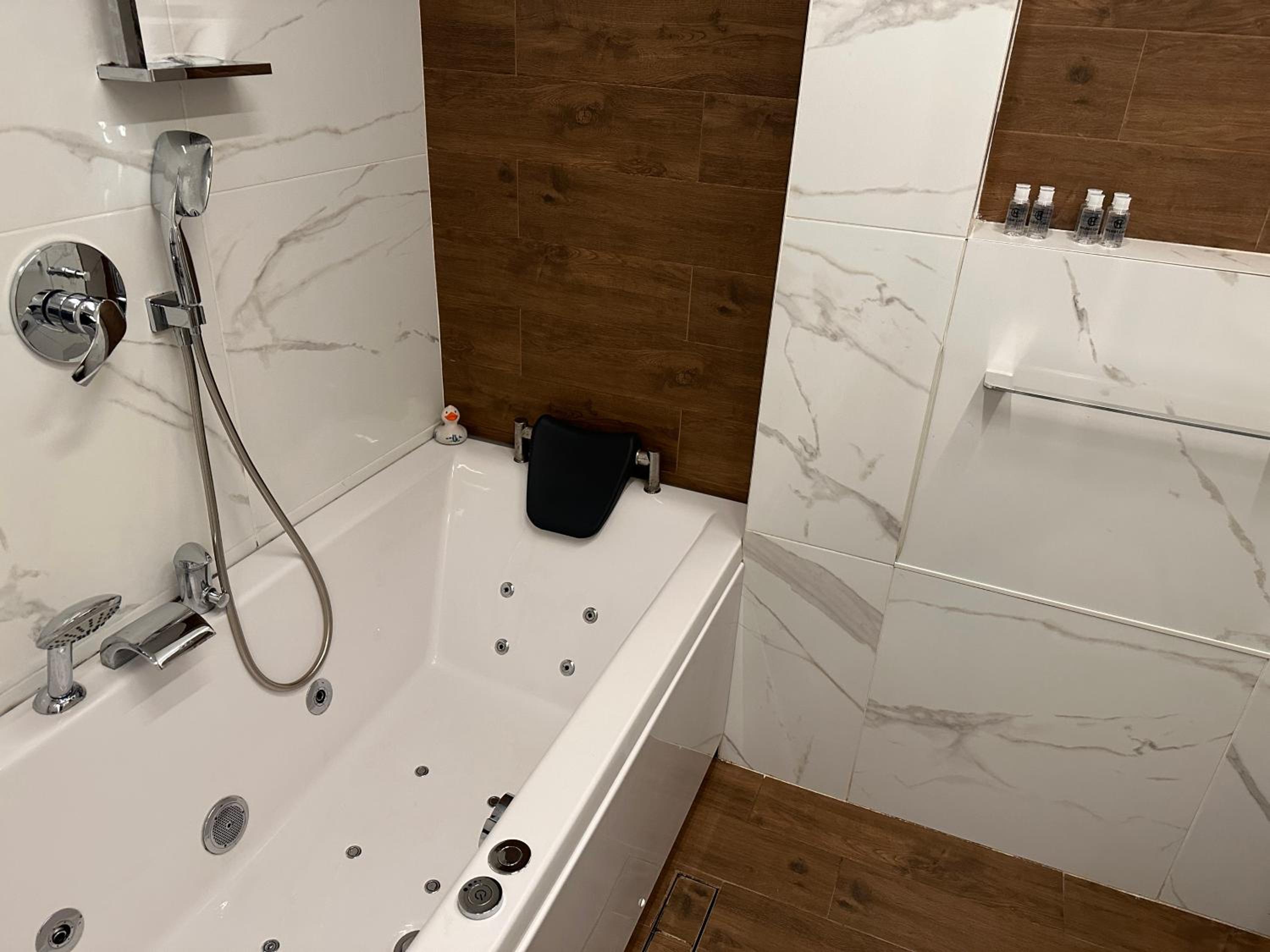 Luxury Oasis in absolute Center of Sofia