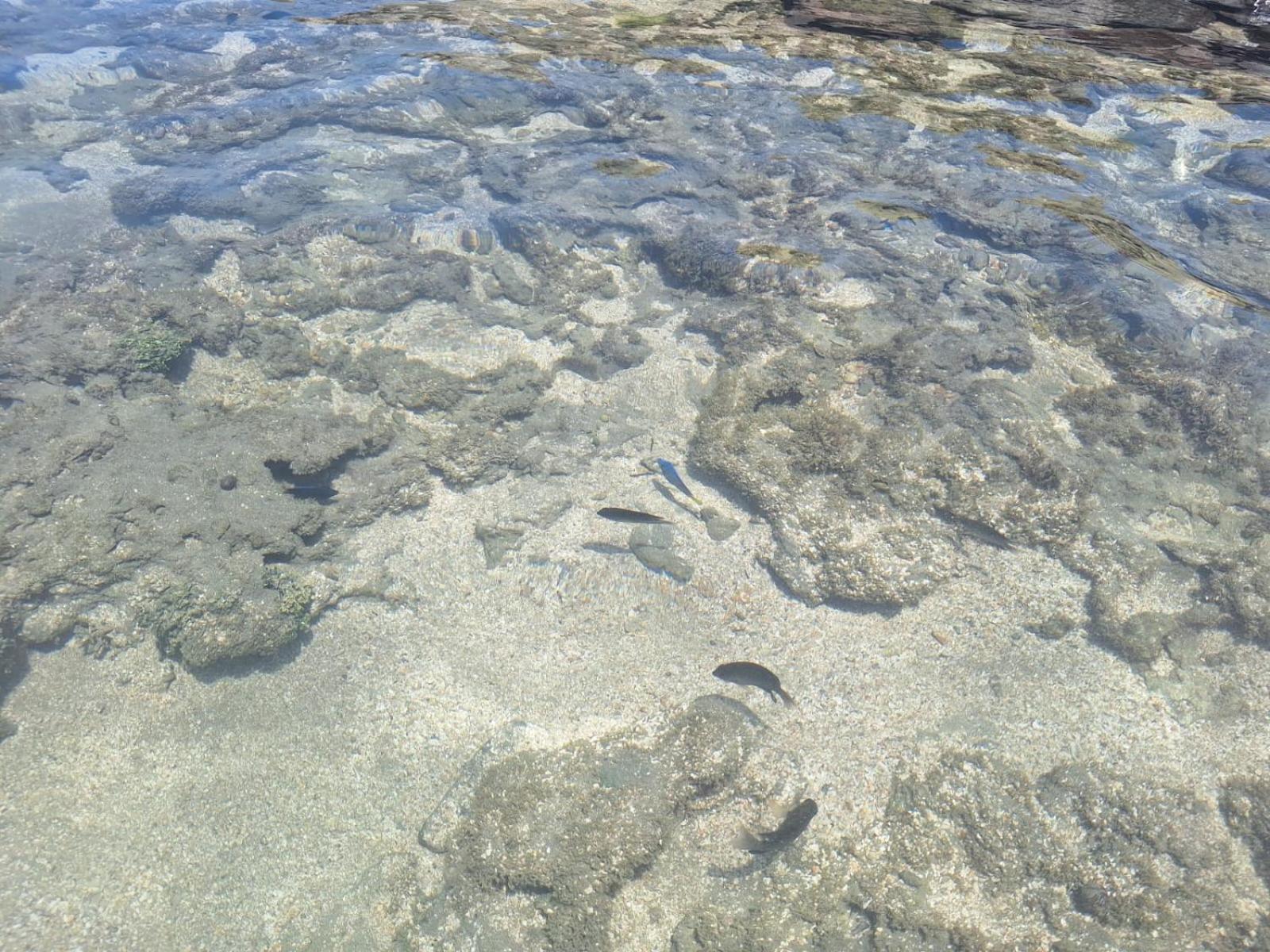 Privê Recanto da Enseada - Praia de Serrambi-PE