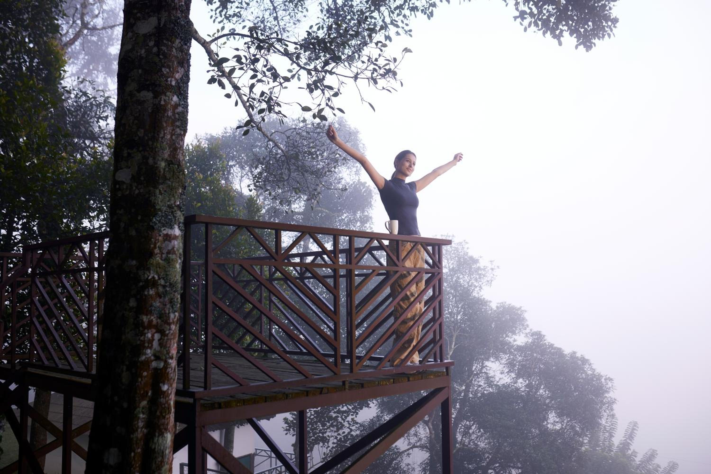 Thekkady Vacations - Forest Canopy Thekkady - Property Image 23