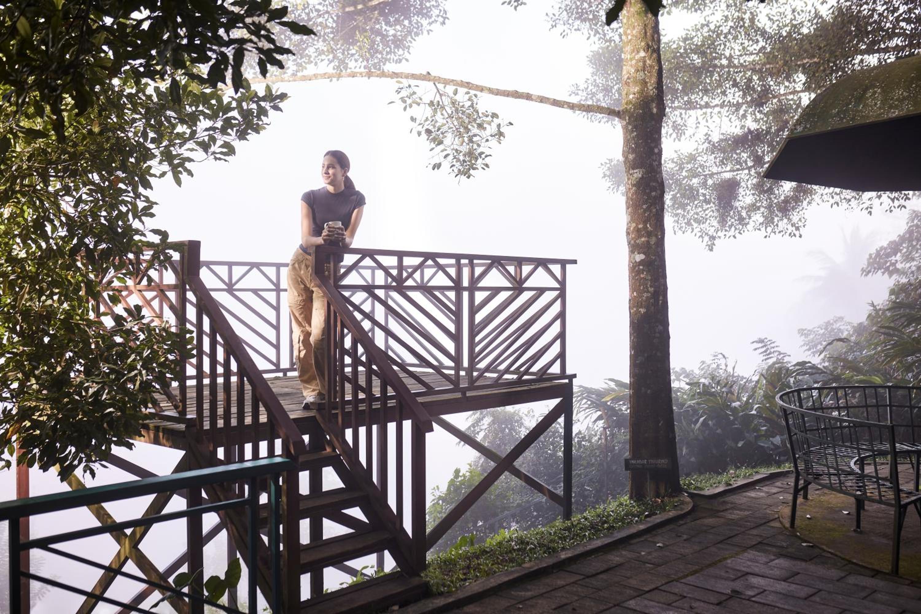 Thekkady Vacations - Forest Canopy Thekkady - Property Image 30