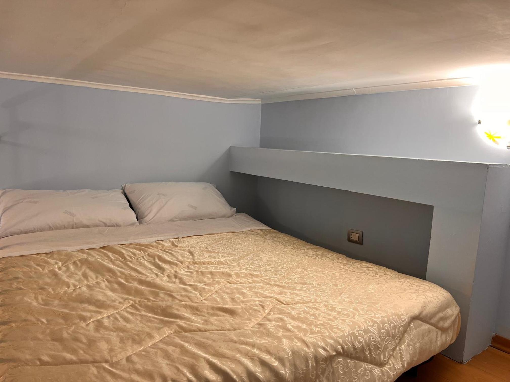 MoonLight Suite