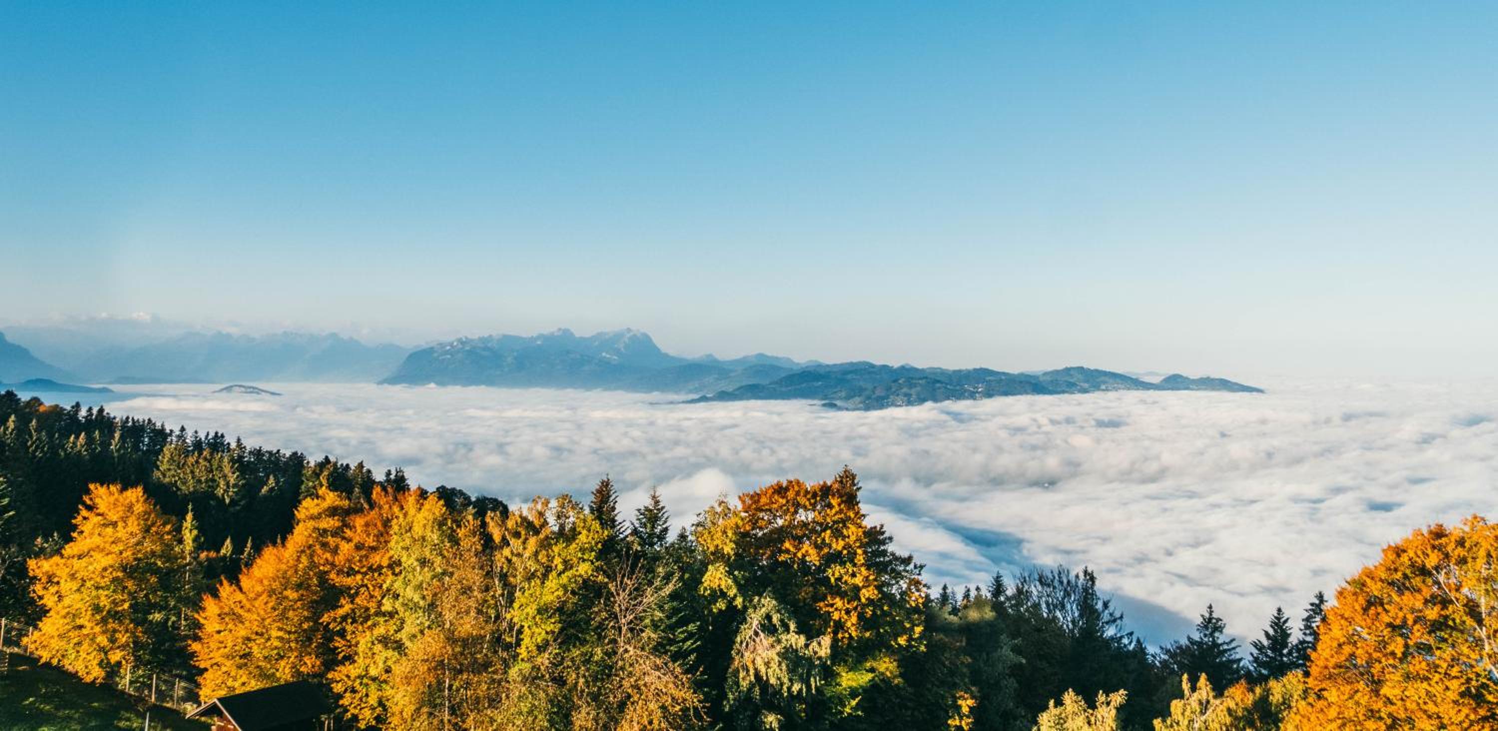 Seeblick Bregenz - mit Parkgarage