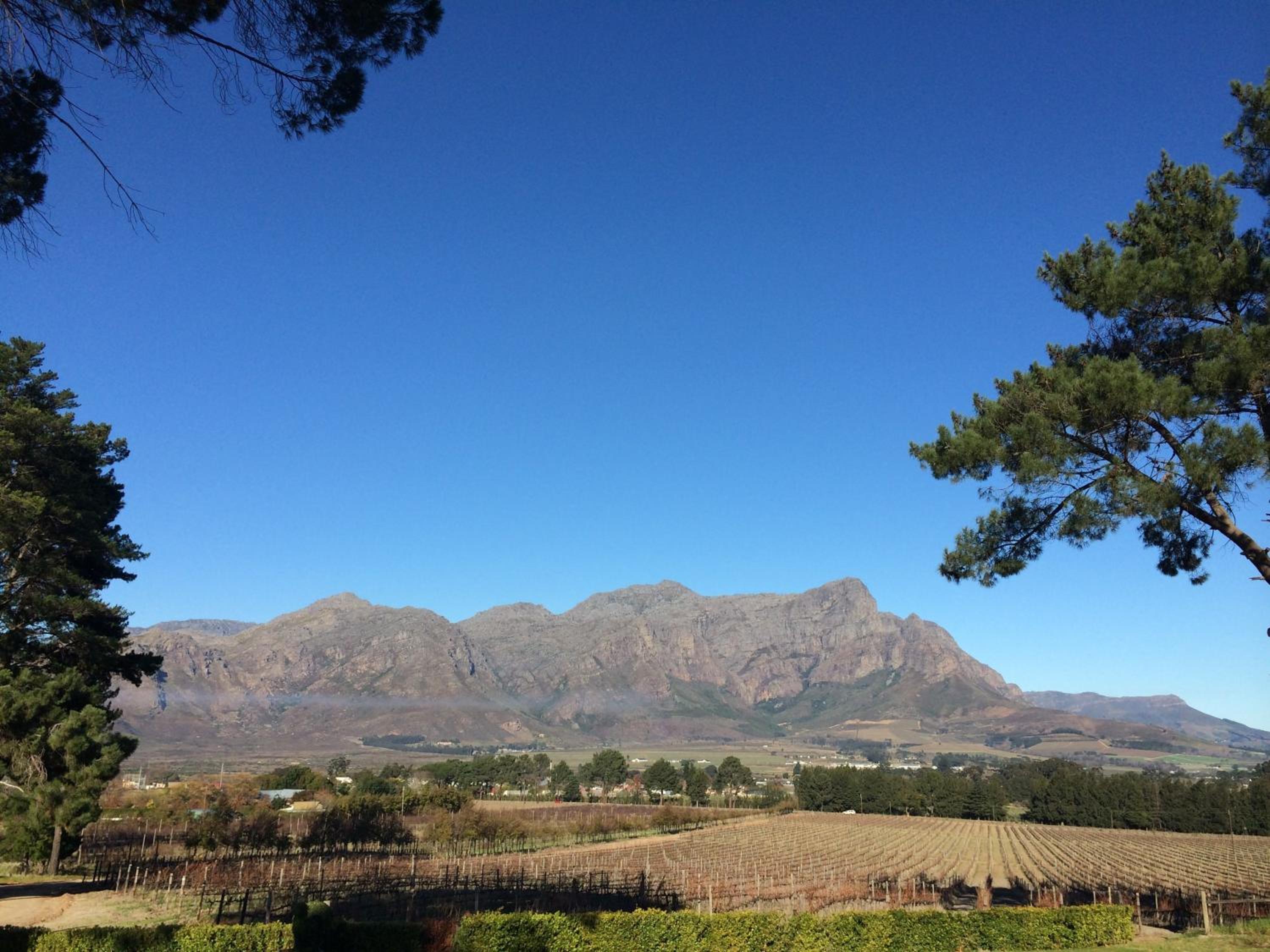 Topiary Wine Estate & Cottages