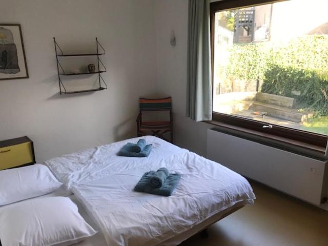 Holiday Home Hoge Blekker