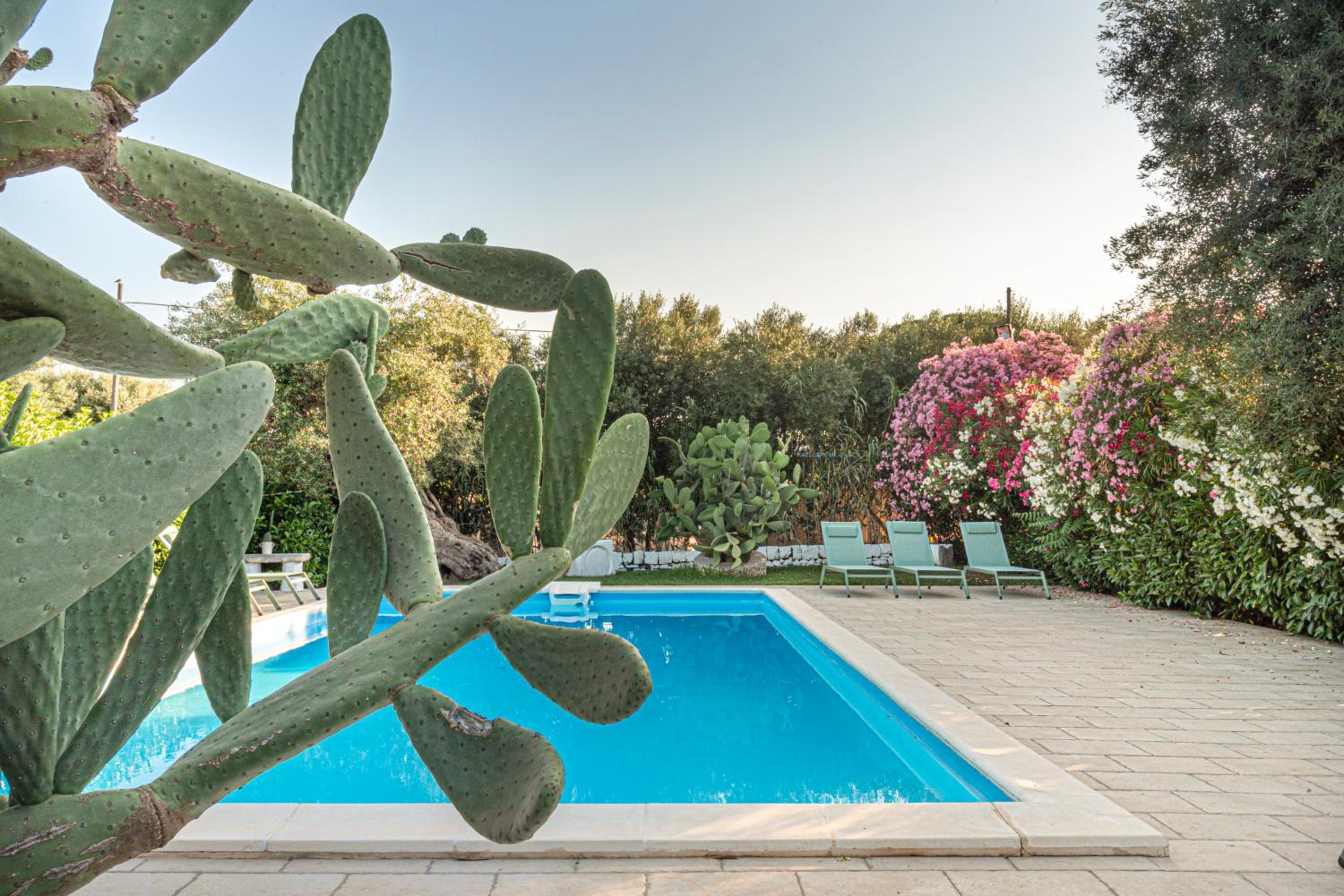 Masseria San Nicola Savelletri - B&B view 4