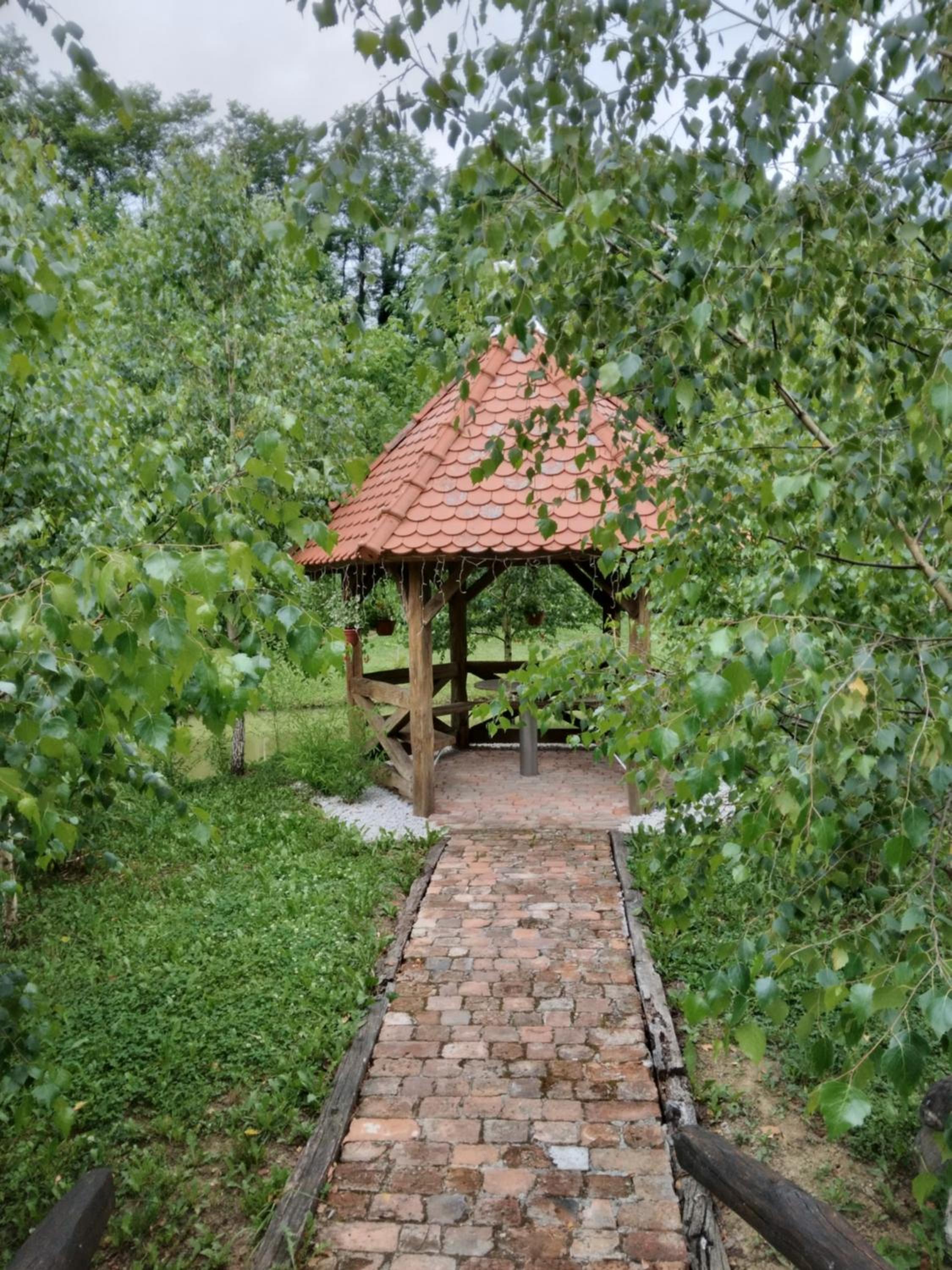 Photo 31