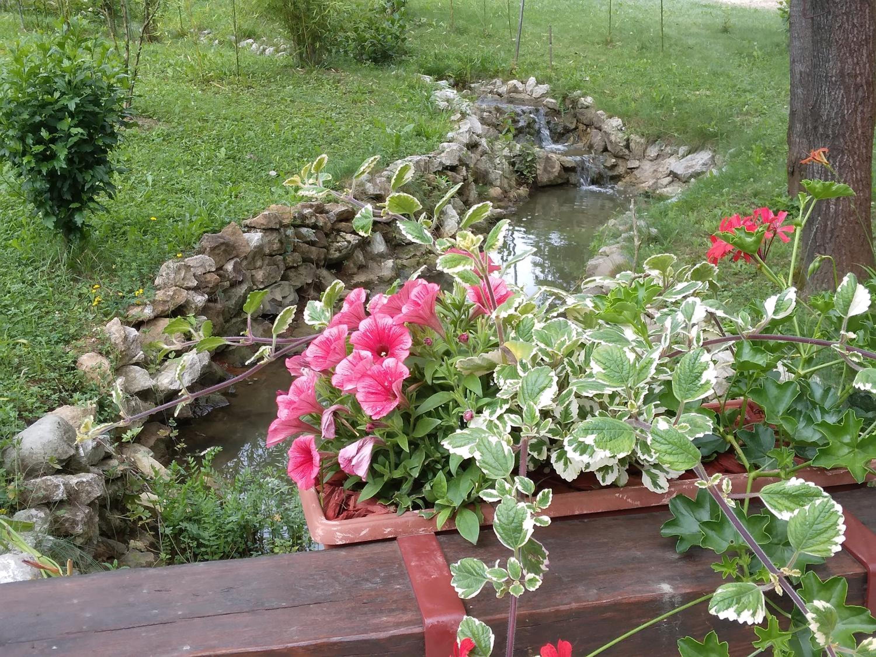 Photo 36