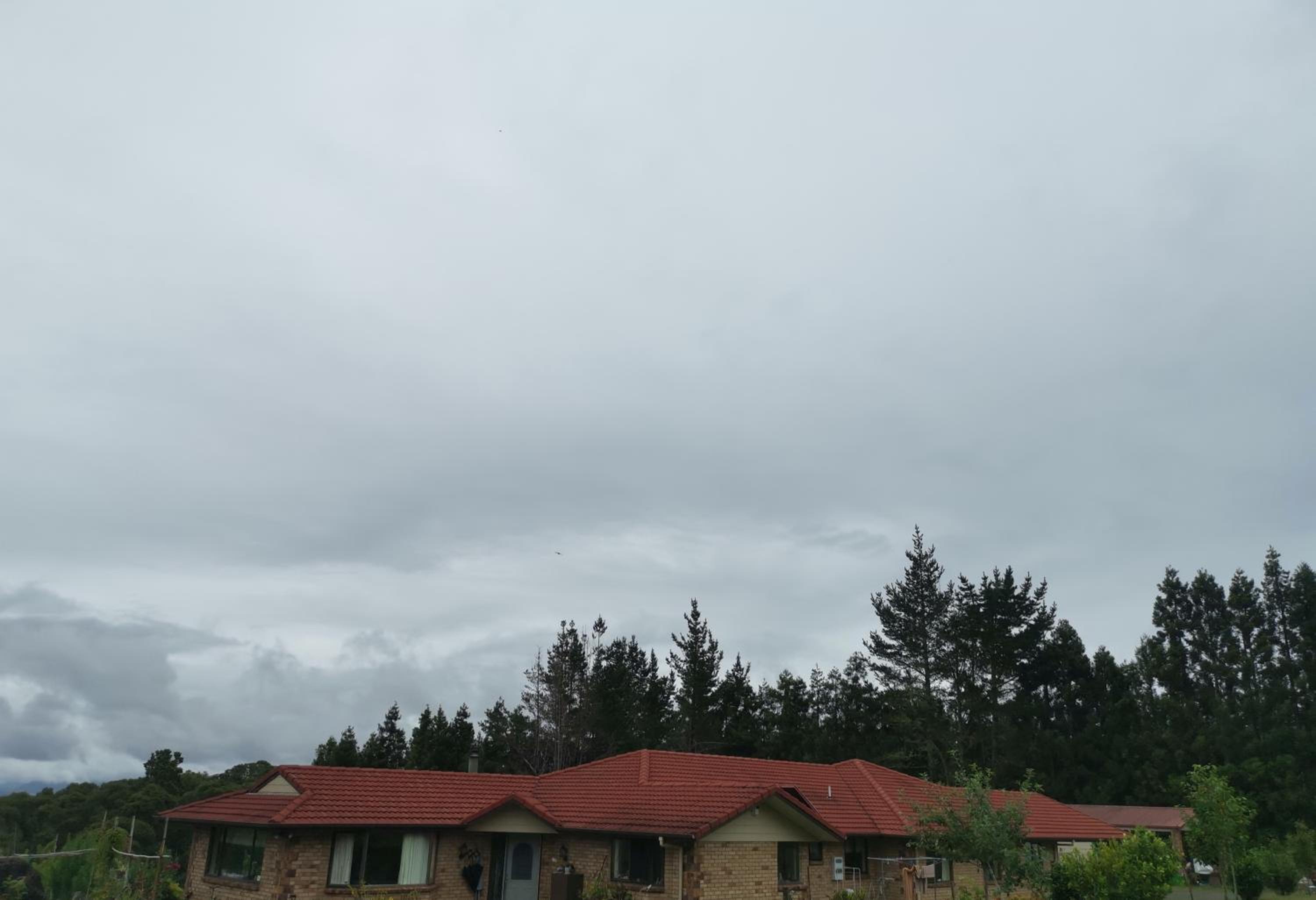 Photo 43