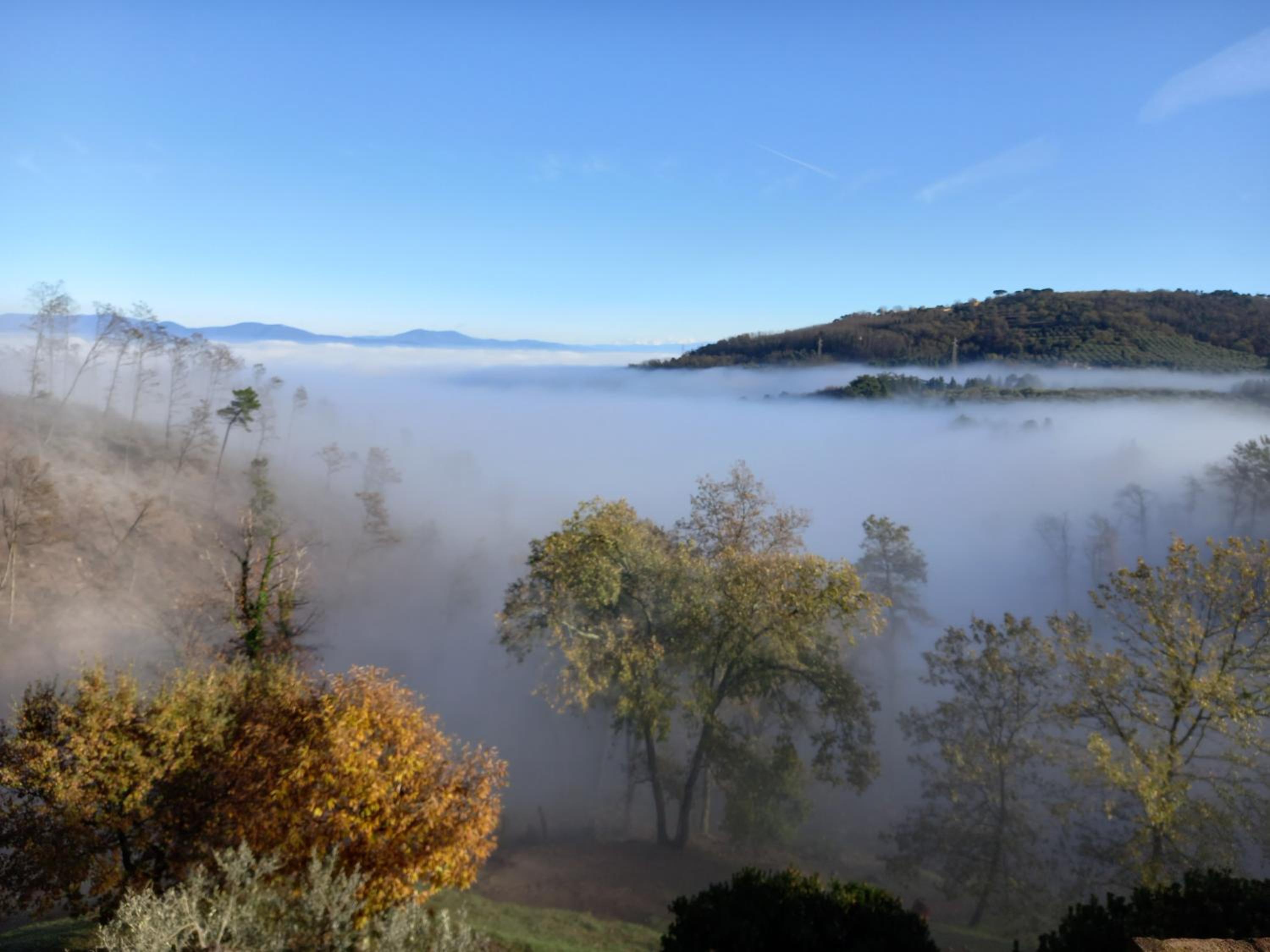 Agriturismo Poggio de Papi