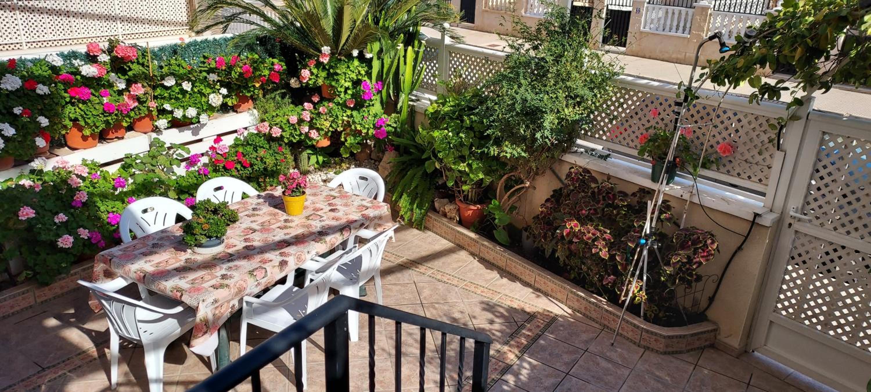 Villa Adelina en Santa Pola