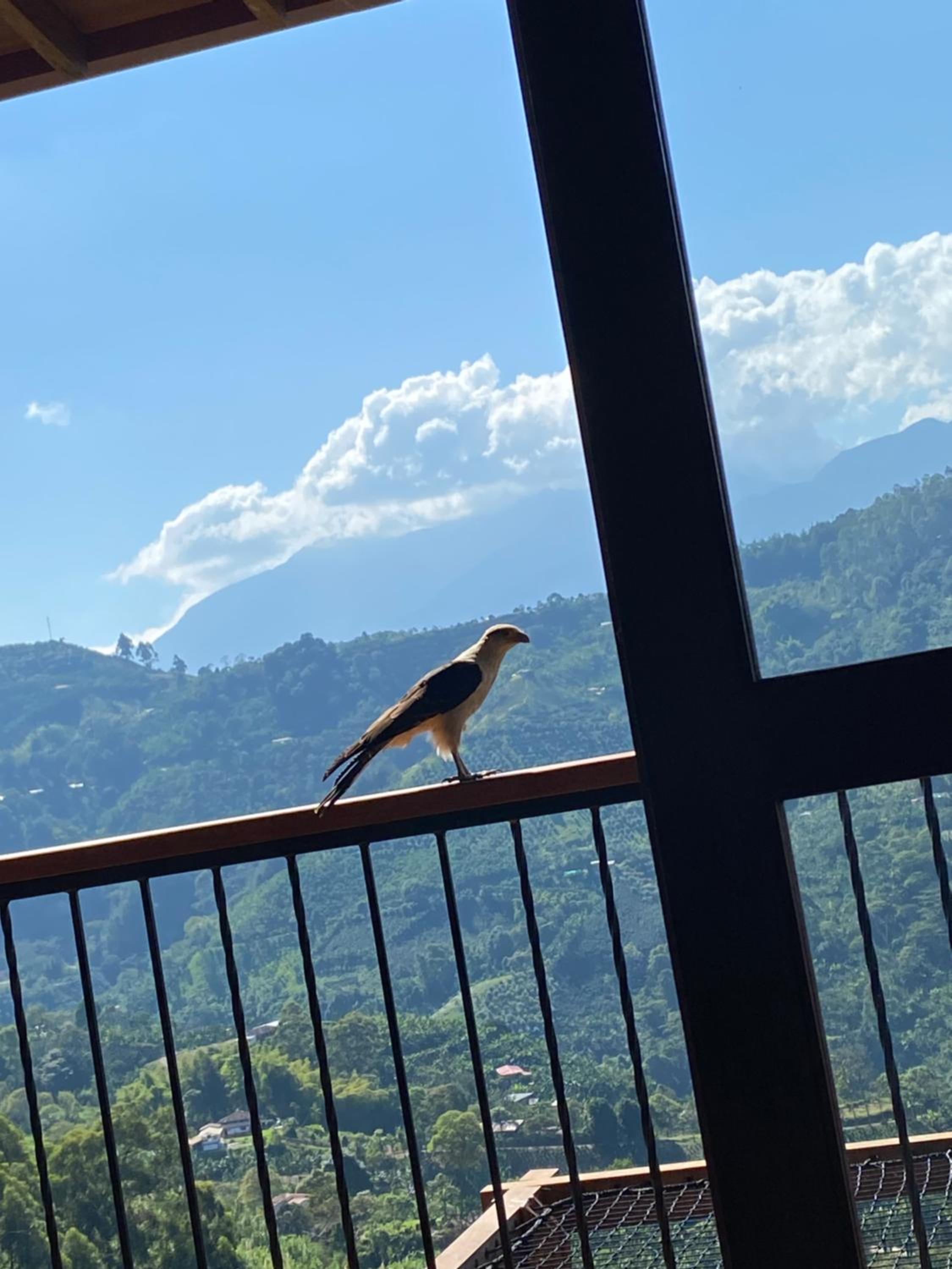Finca La Arabia Jardín