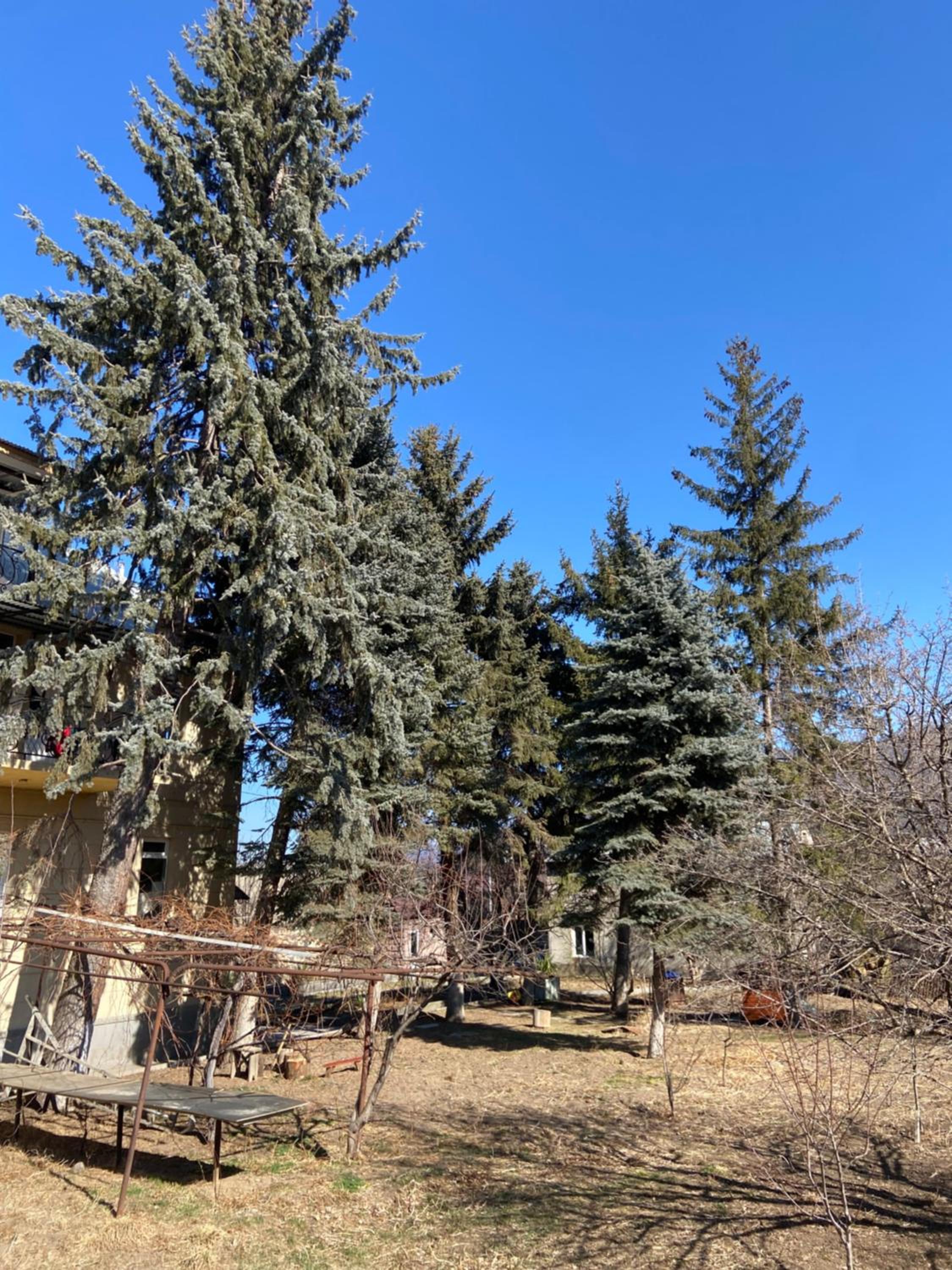 Yeghevni Guest House in Odzun