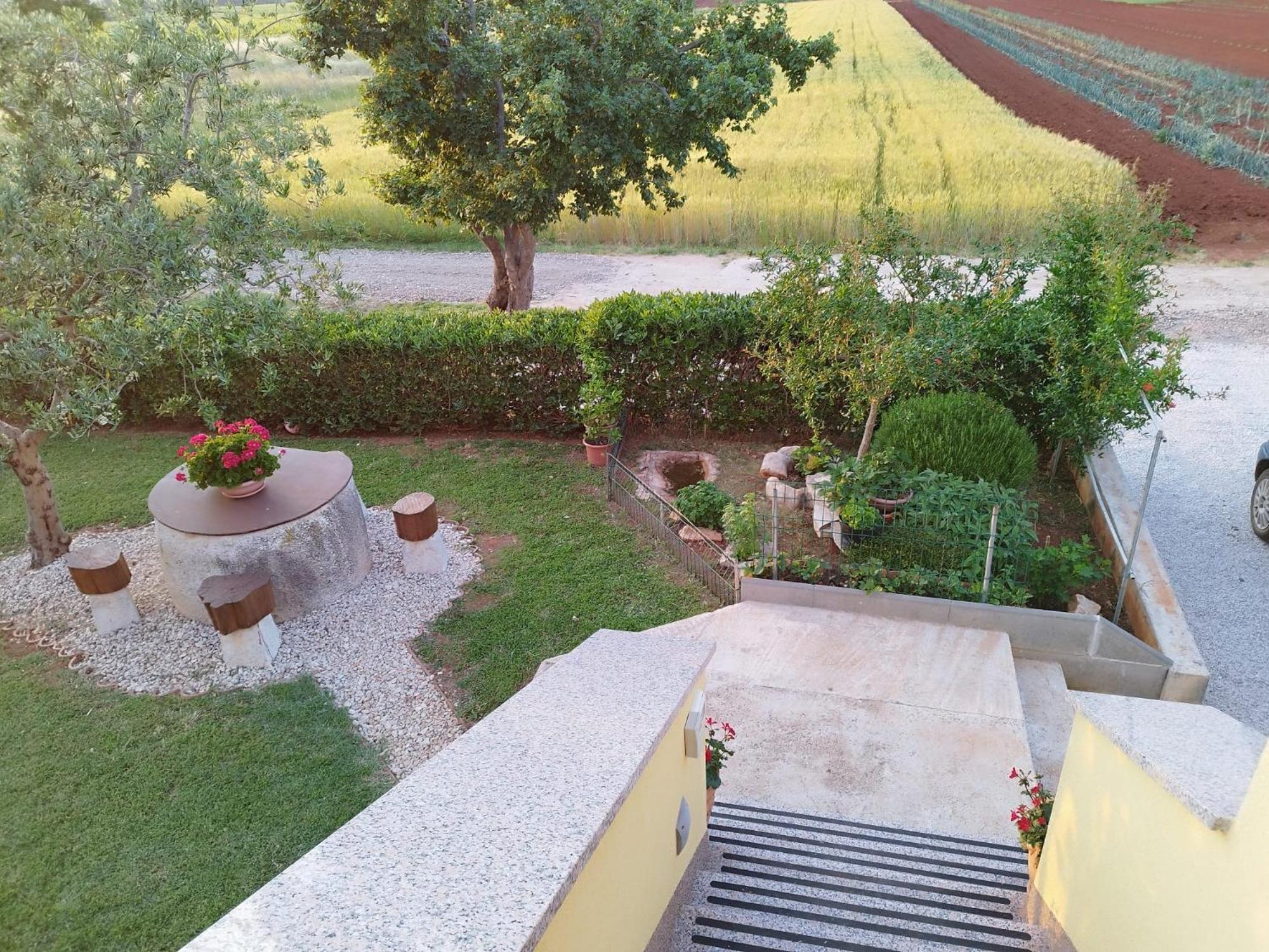 Photo 11