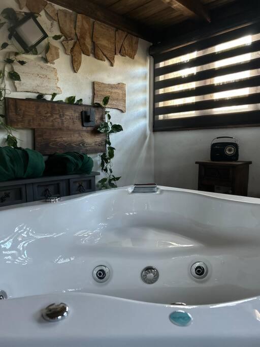 Cabaña jacuzzi Huasca view 4