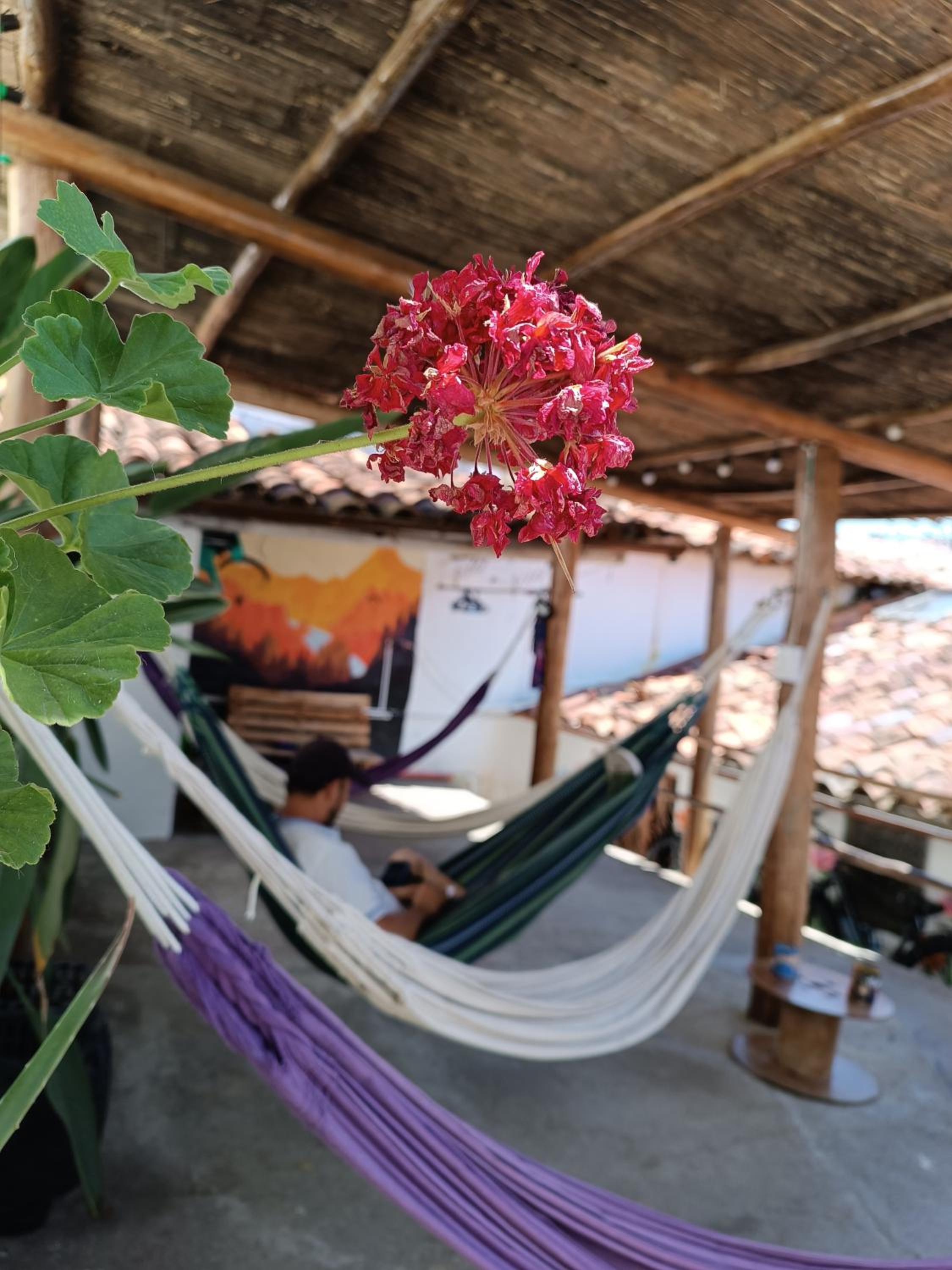 ADVENTURE Hostel