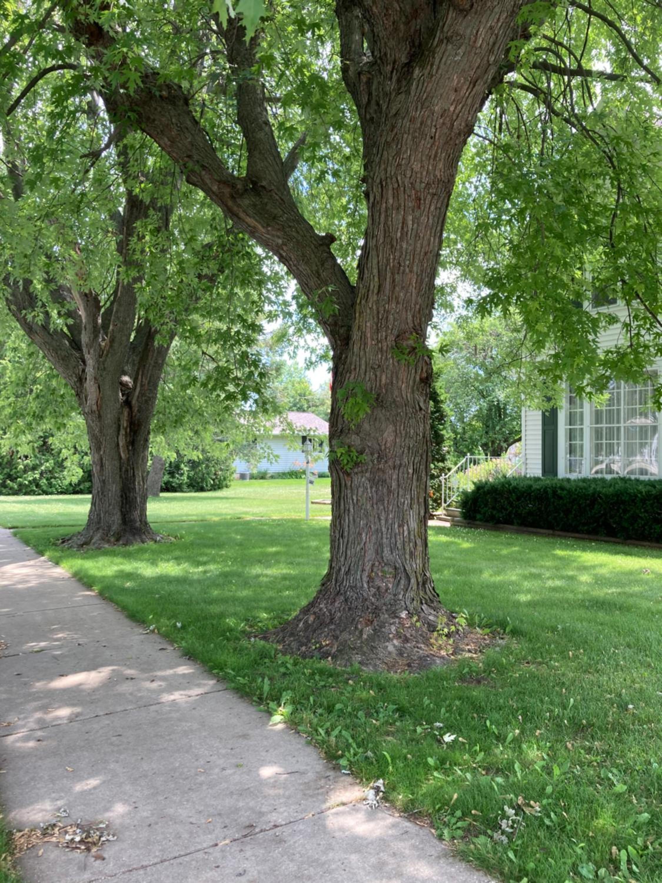 Cozy Algoma Retreat! Minutes to Beach and Downtown! view 3