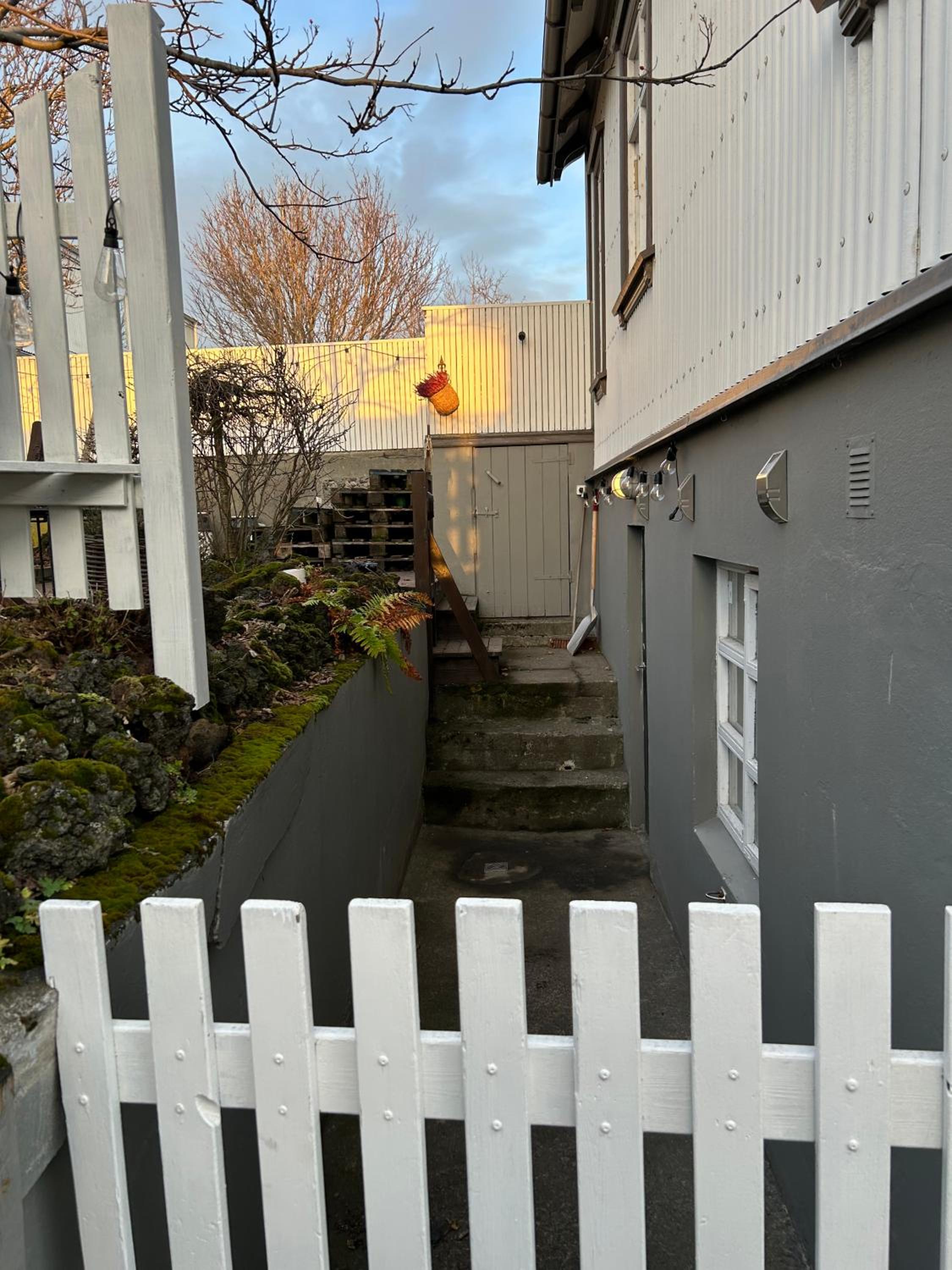 Photo 15