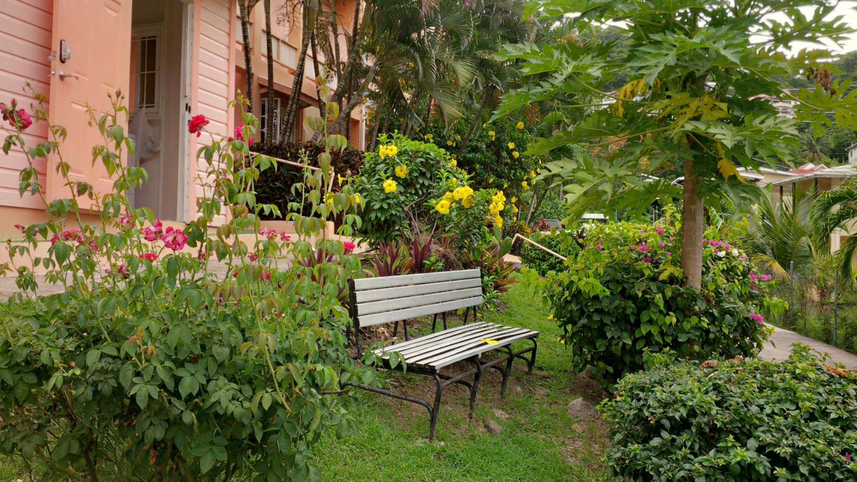Bougainvillea Apartments