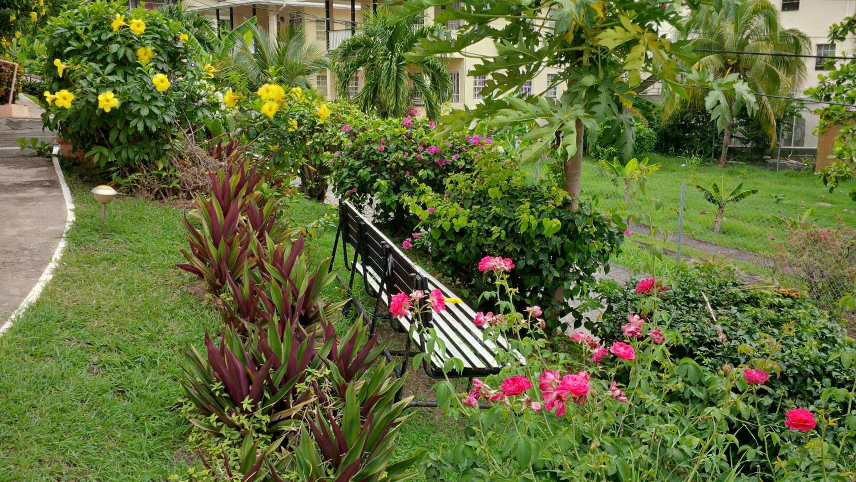 Bougainvillea Apartments