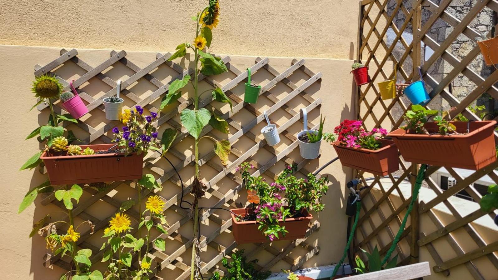 Itiseasy Cuglieri Luxury Apartments view 5