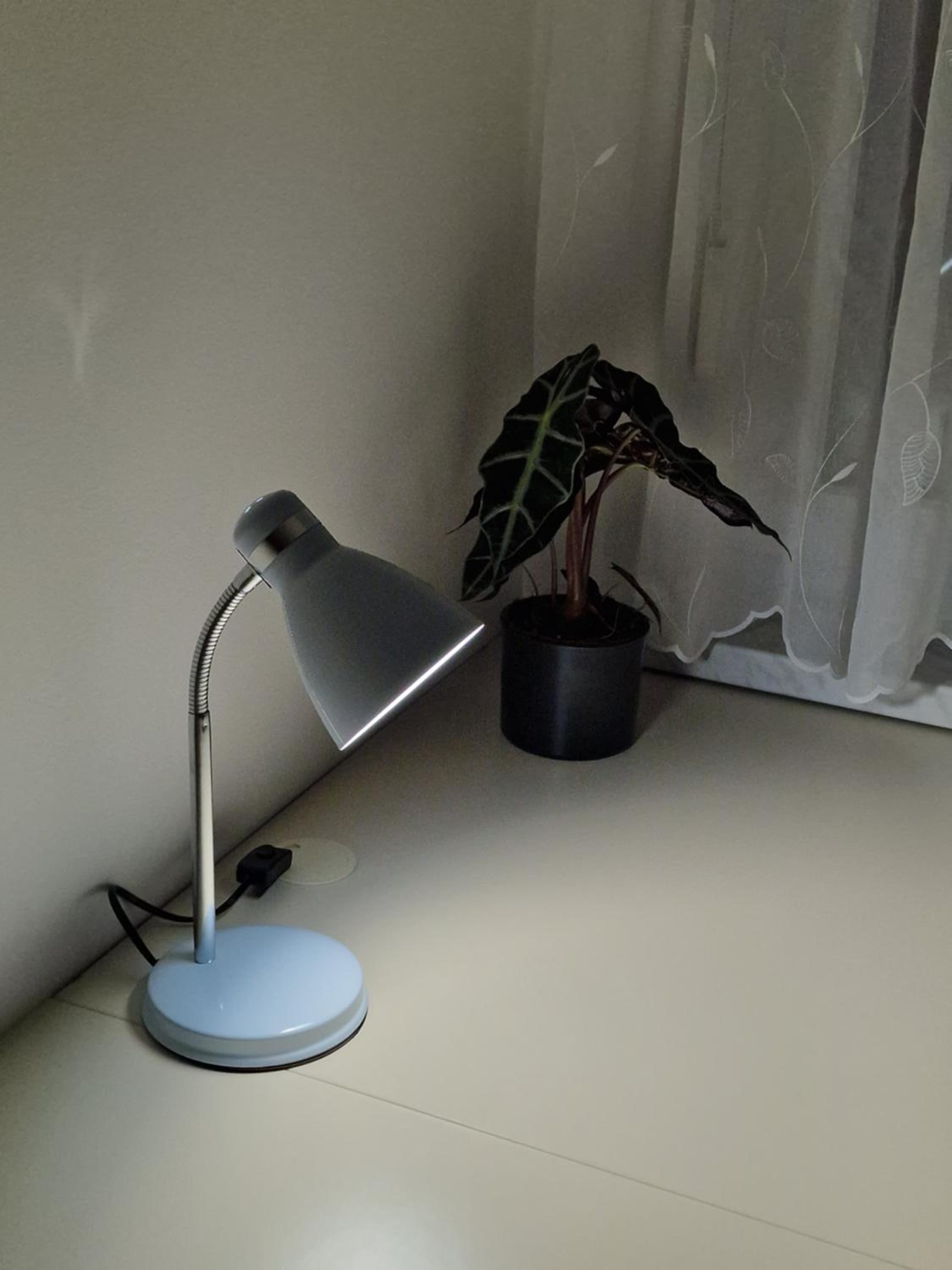 Photo 25