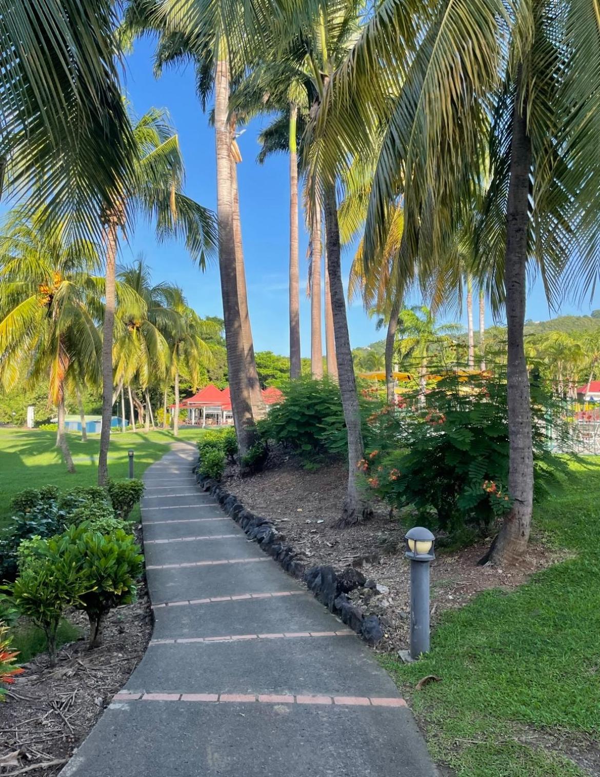 Couleur Caraïbes-TI EVASION appartement dan un village club 3 étoiles vue mer