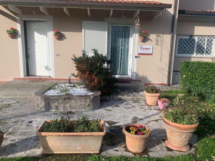 Photo 41